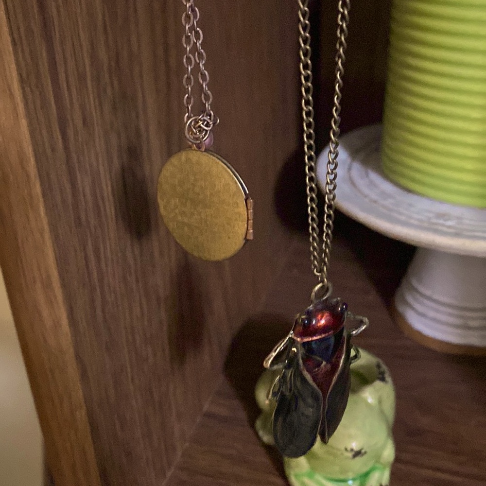 Funky beetle necklace and cute locket necklace